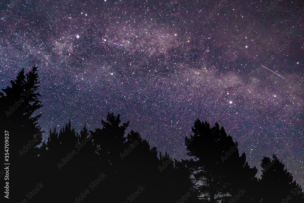 starry sky at night in the milky way forest