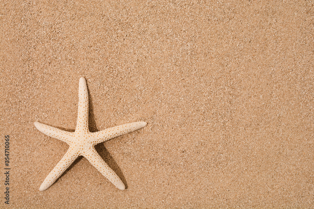 Natural dry star fish on sand with copy space. Flat lay. Top view. Summer time vacation background Natural dry star fish on sand with copy space. Flat lay. Top view. Summer time vacation background