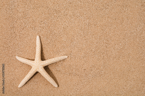 Natural dry star fish on sand with copy space. Flat lay. Top view. Summer time vacation background