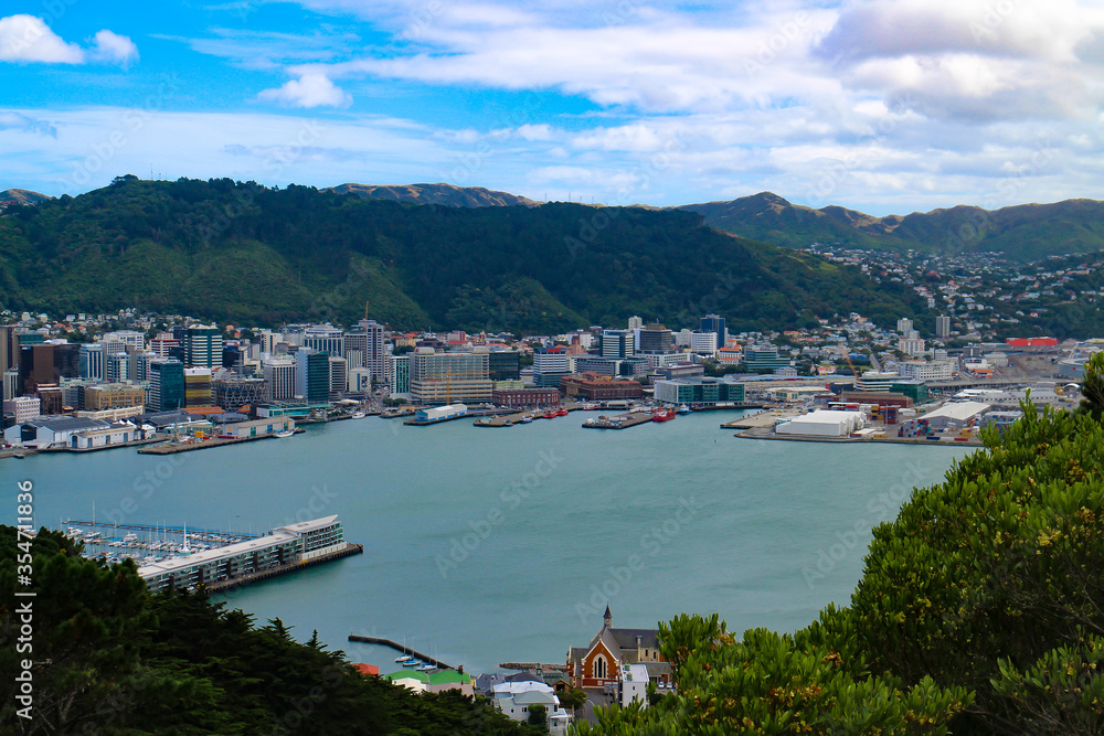Wellington bay and cityscape with lush vegetation as seen from Mount Victoria. Wellington, New Zealand North Island.