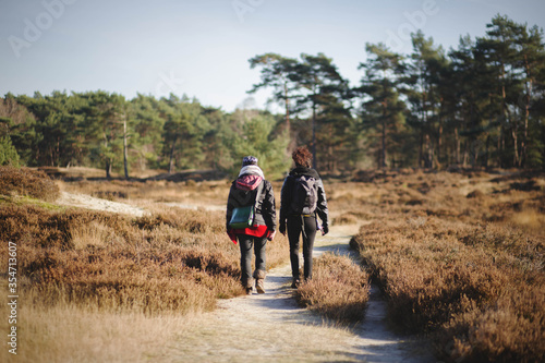 two friends woman, walking in the nature on a hiking trail in a beautiful and sunny day of autumn.