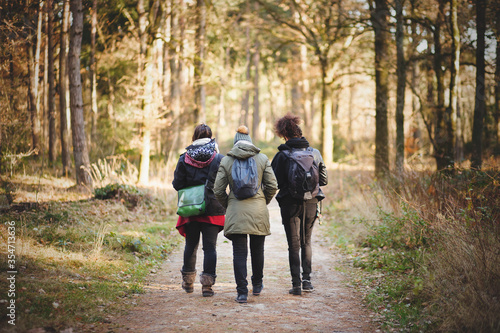 Horizontal image of three friends woman  walking in the forest on a hiking trail in a beautiful and sunny day of autumn.