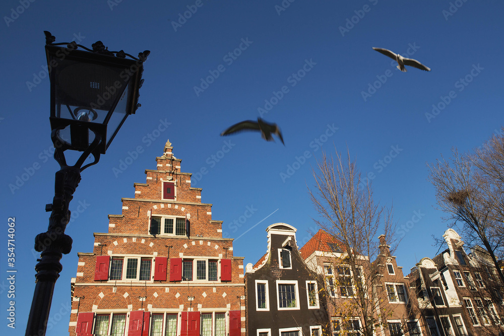 Glimpse of the  typical duch inclined houses in the center of Amsterdam, the most touristic city of Netherlands, in the foreground a street lamp and two seagulls flying. - obrazy, fototapety, plakaty 