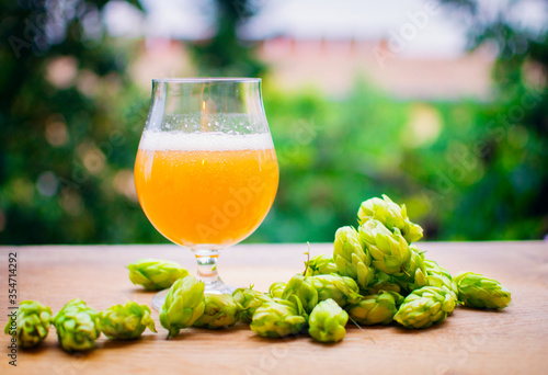 Photos Delicious homebrewed beer, diffferent styles and rich taste