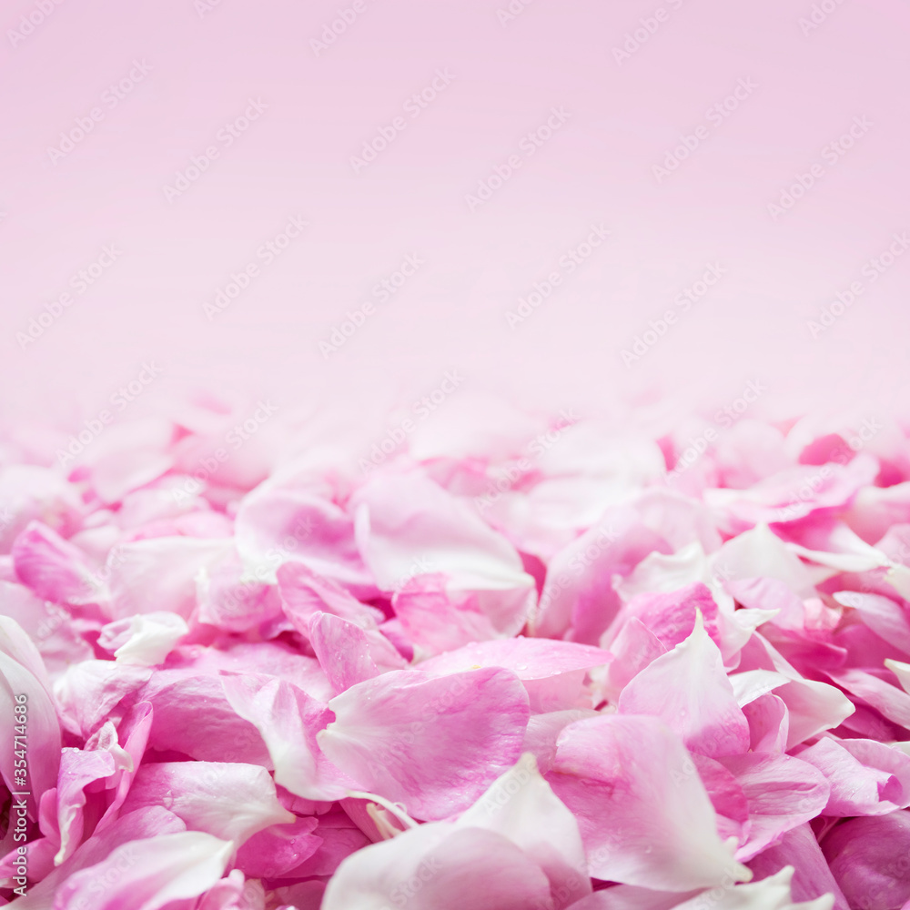 Background of fresh pink rose petals with copy space Background of fresh pink rose petals with copy space