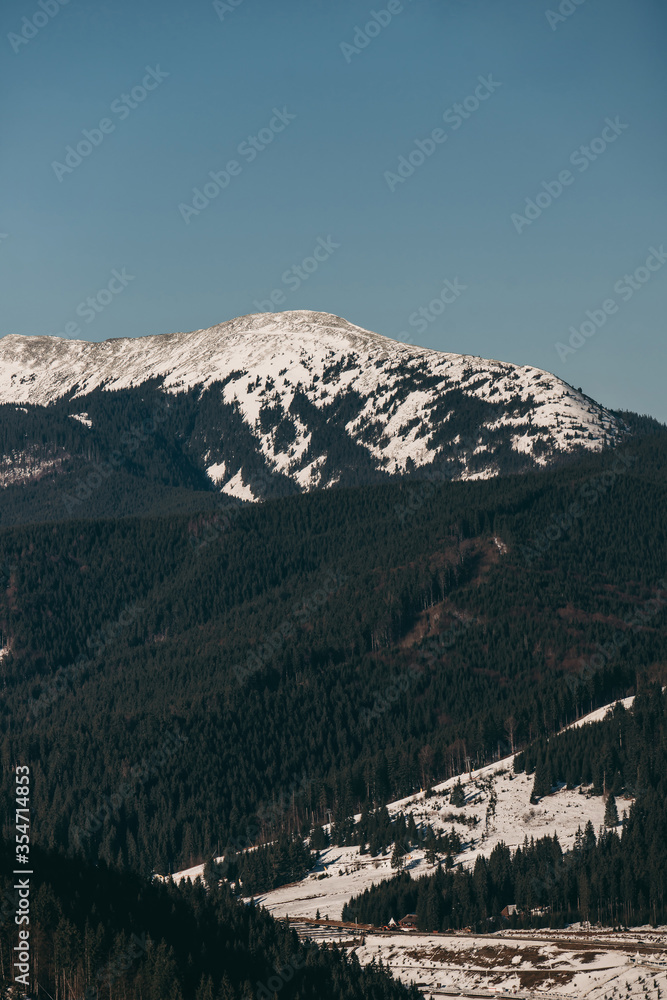 Ukrainian Carpathian Mountains snow-covered in winter, with forests, snowmelt, spring, Khomyak Mountain