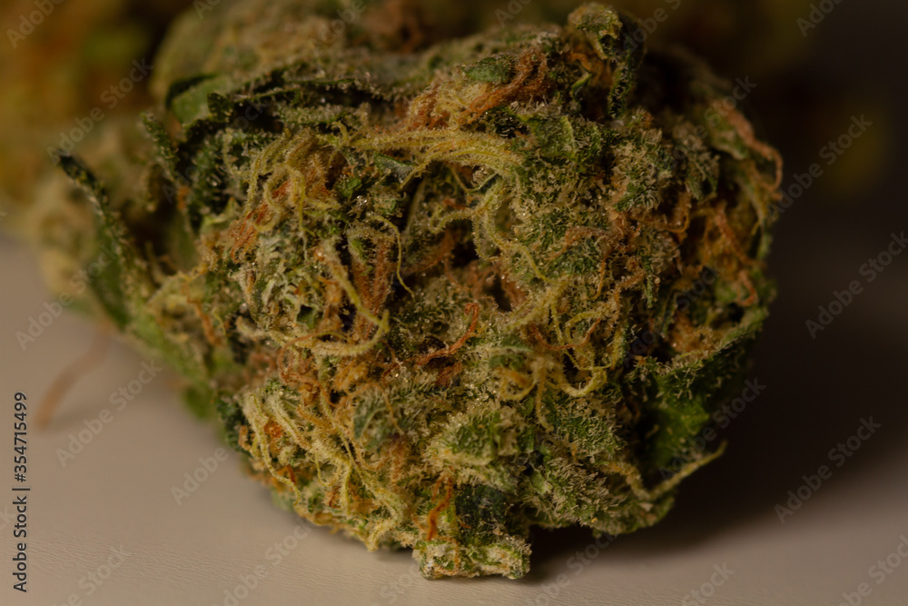 close-up macro picture medical marijuanadried leaves of green medical marijuana. close-up macro picture medical marijuanadried leaves of green medical marijuana.