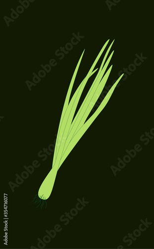 Spring Sprouting onion isolated on black background. Lined vector illustration. Fresh green food