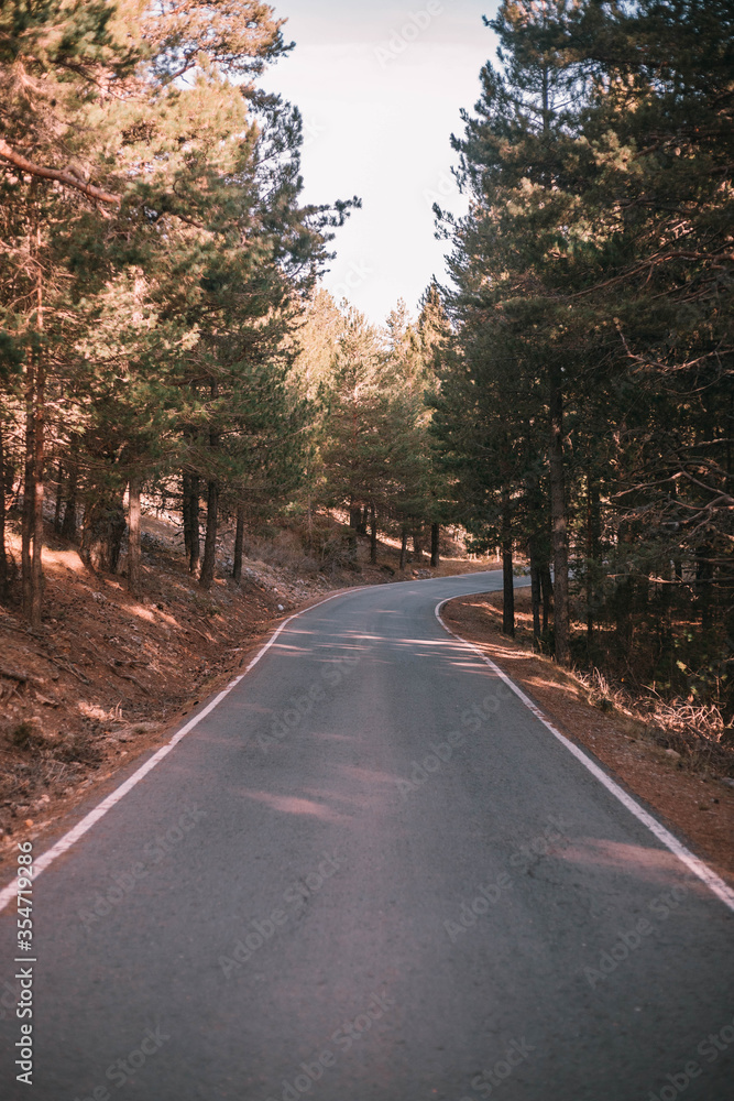 Obraz premium road in autumn