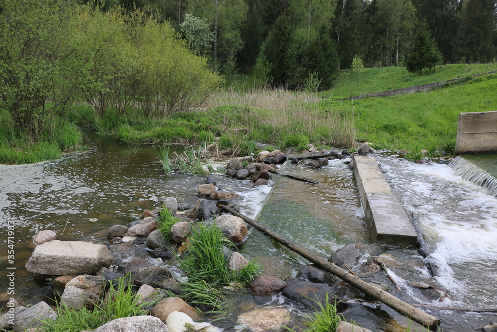 Obraz premium river in the forest