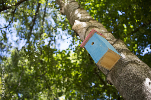 Closeup of a blue wooden birdhouse hanging on a tree in a park made from an unusual low angle, in The Netherlands, Schiedam.