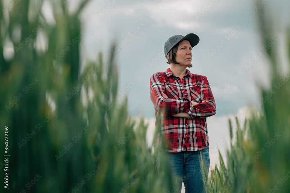 Wheat farmer agronomist standing in cultivated cereal crops agricultural field with arms crossed and uncertain facial expression Wheat farmer agronomist standing in cultivated cereal crops agricultural field with arms crossed and uncertain facial expression