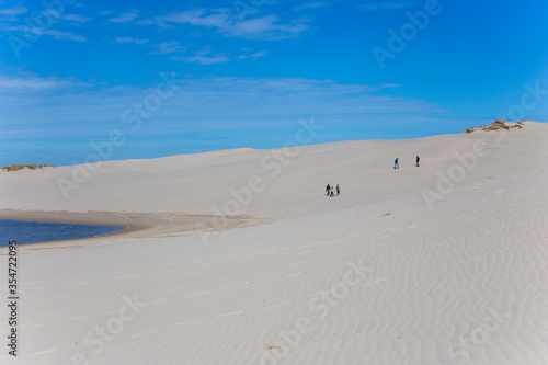 The view of Rabjerg mile  which is a largest migrating dune in Denmark close to Skagen