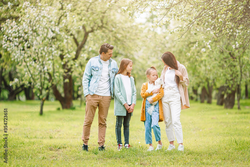 Obraz premium Adorable family in blooming cherry garden on beautiful spring day