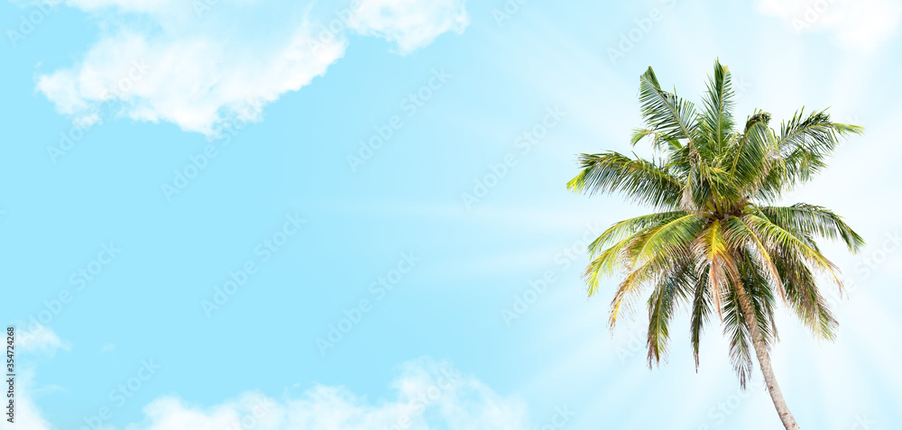 Summer tropical hot day backdrop with palm and blue sunny sky