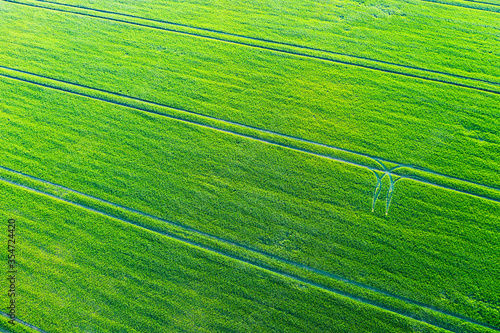 Fresh spring green field with tractor tracks from above