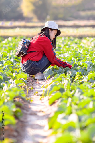A girl sitting on a organic vegetable farm That is time to harvest