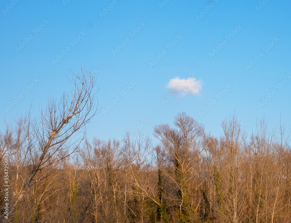 Paisaje otoñal con cielo azul y nube Paisaje otoñal con cielo azul y nube