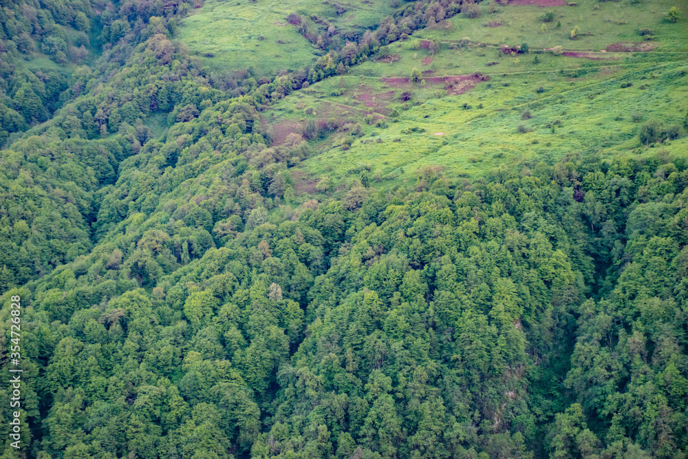 landscape in the mountains