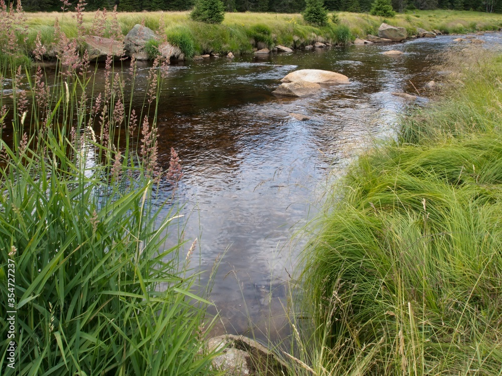 Obraz premium Mountain stream, with granite boulders and sharp mountain grass on the shore.