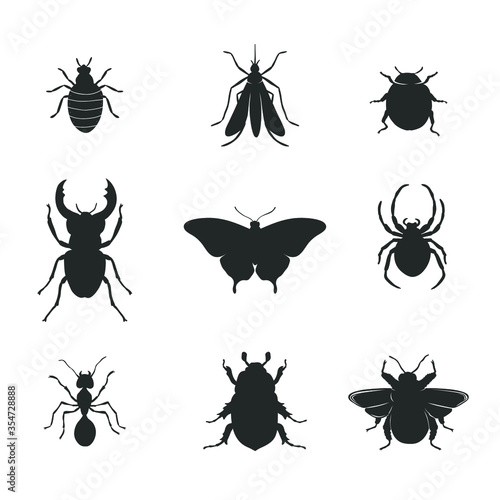 Collection of different types of insects isolated on white. Vector illustration.
