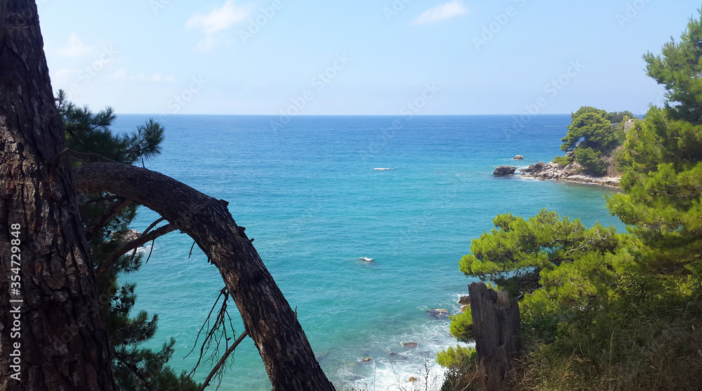 blue and green water of Adriatic sea and green pines in Montenegro at summer blue and green water of Adriatic sea and green pines in Montenegro at summer