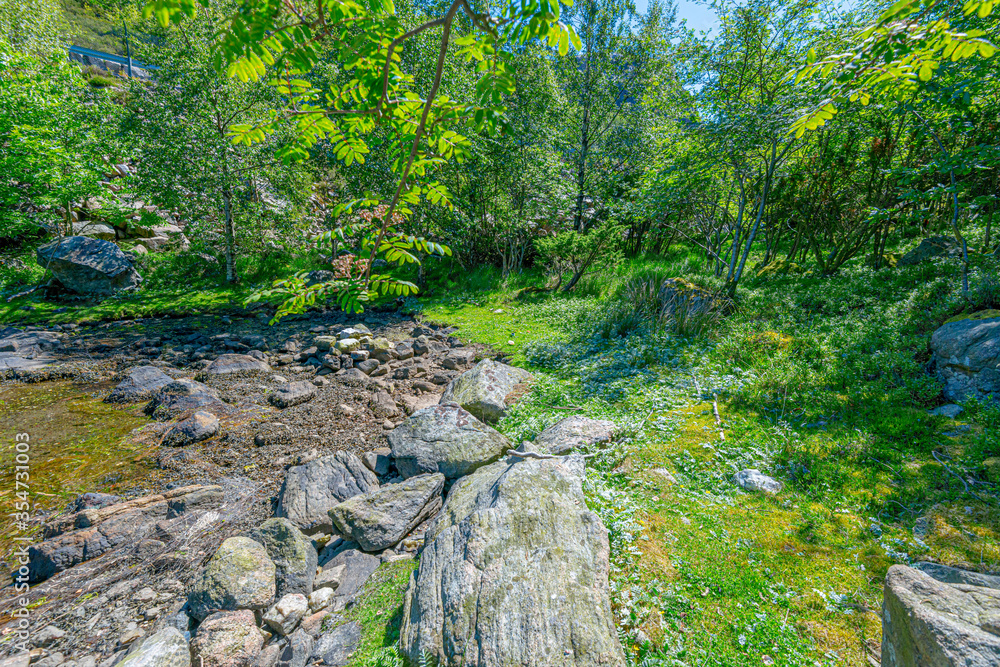 Small and very shallow bay at summer. Small and very shallow bay at summer.