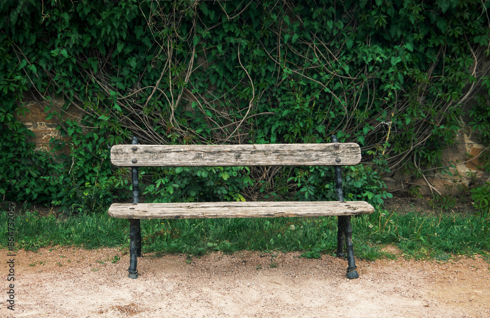 Vintage wooden bench in the park