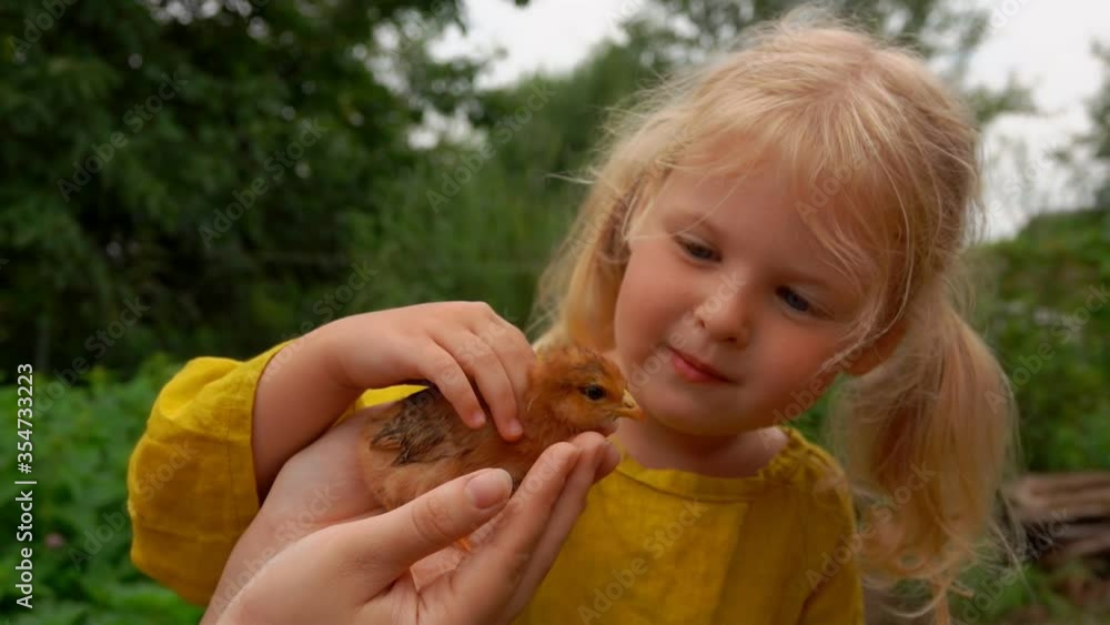 Cute blond girl is stroking a little ginger chick outdoors Cute blond girl is stroking a little ginger chick outdoors