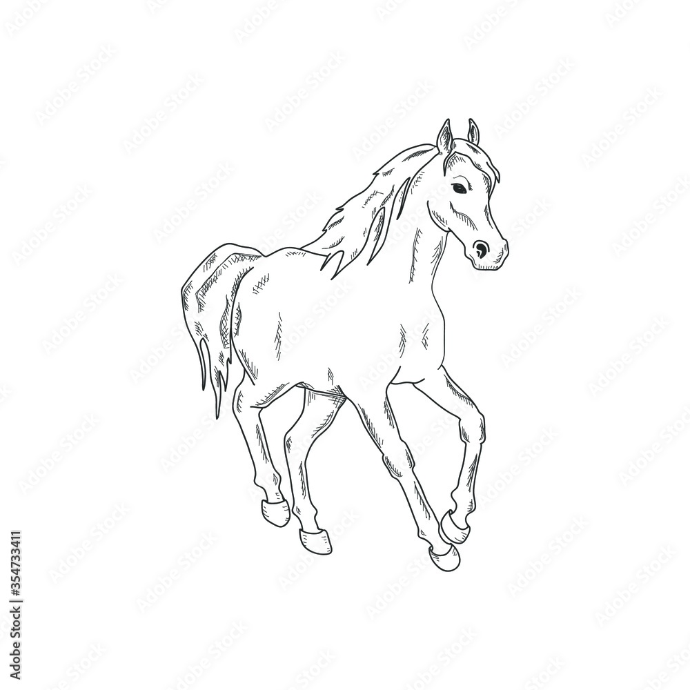 Running horse isolated on white. Vector illustration.