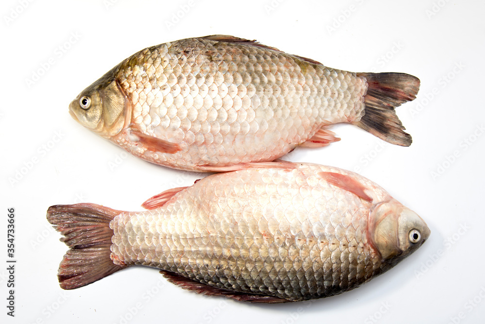 Crucian fish on a white background. Isolate. Crucian fish on a white background. Isolate.