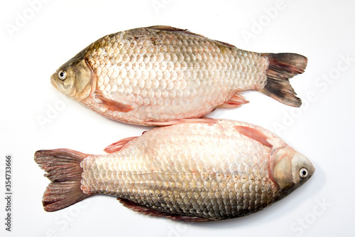 Crucian fish on a white background. Isolate.
