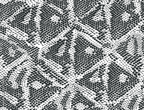 Snake skin seamless pattern. Vector illustration.