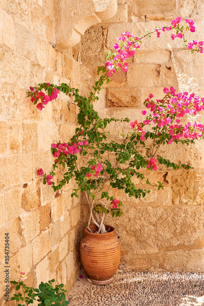 Flowers in a pot against the backdrop of an ancient wall in the town of Lindos on the island of Rhodes. Greece