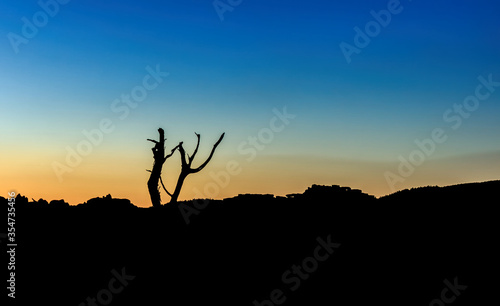 Silhouette of a dead tree and horizon line made of rocks and distant tree tops during vibrant sunset