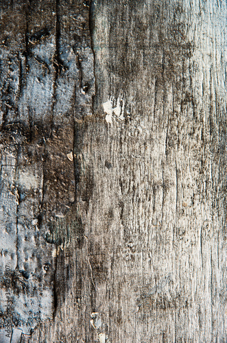 old wooden board, background
