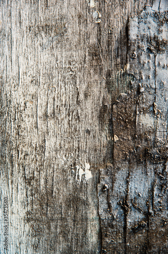 old wooden board, background