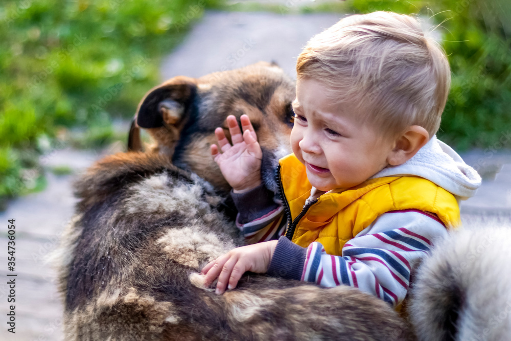 The yard dog sniffs a small child..The baby plays with the animal in nature. Сlose-up. Toned. The yard dog sniffs a small child..The baby plays with the animal in nature. Сlose-up. Toned.