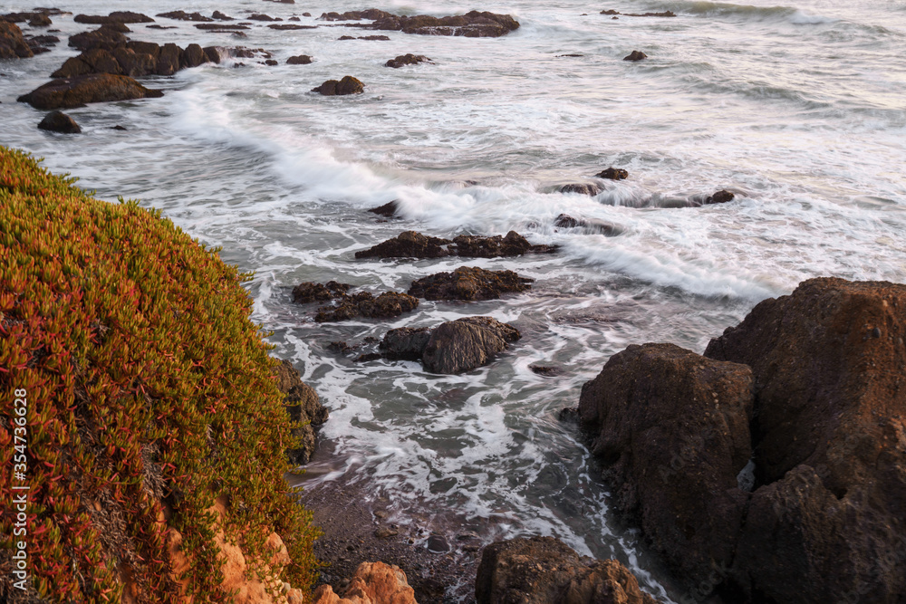 Waves and cliffs of the Pacific Ocean