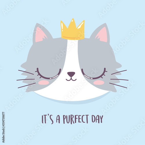 cute cat face with crown perfect day, cartoon animal funny character