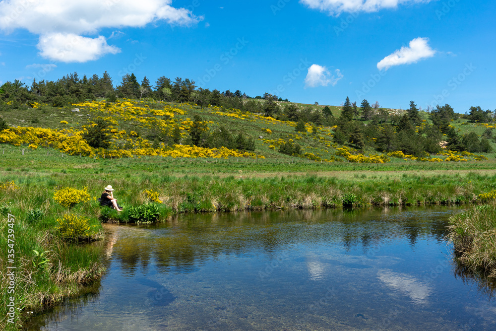 Fototapeta premium Une femme sur le bord d'une rivière en montagne