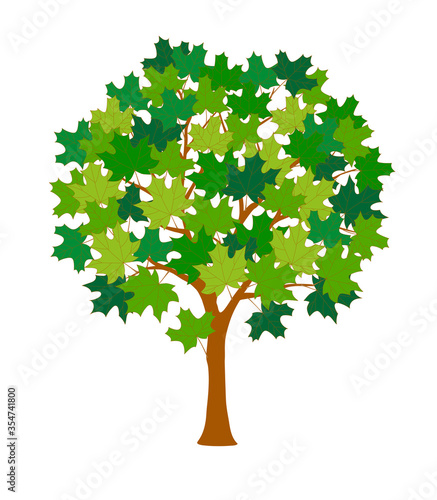 Summer cartoon maple tree with green leaves