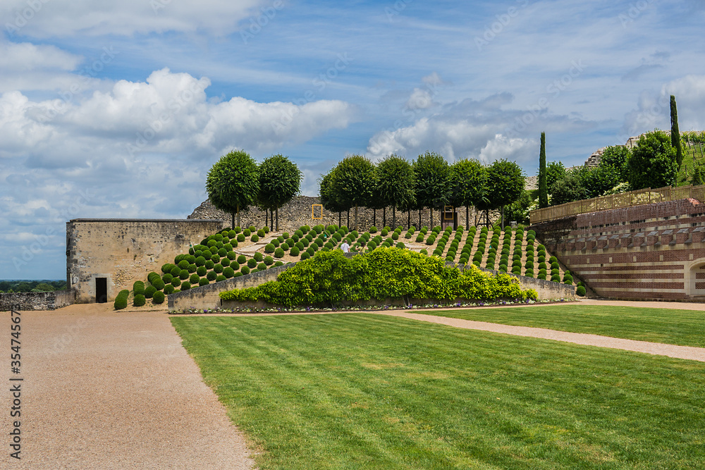 Fototapeta premium Amazing ornamental garden near Chateau d'Amboise (late 15th century). Amboise, Indre-et-Loire, Loire Valley, France.