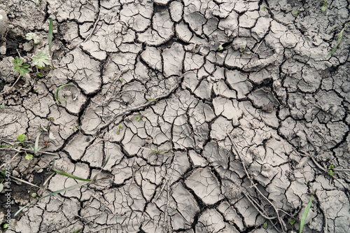 Drought, the ground cracks, no water, lack of moisture. Dried and cracked ground, cracked surface, dry soil in arid areas.
