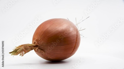 Yellow onion spinning with a white background. 
