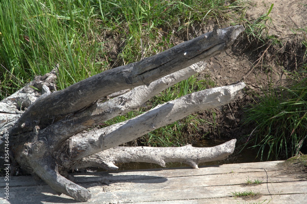 Obraz premium nature_034