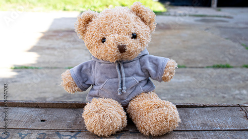 Teddy bear