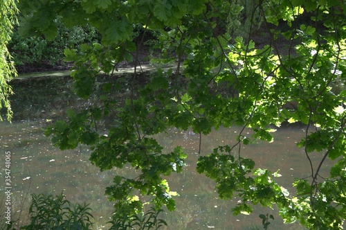 nature_050