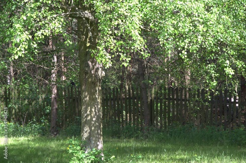 nature_056