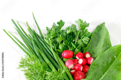 Dill parsley onion green sorrel and radish for salad on a white background